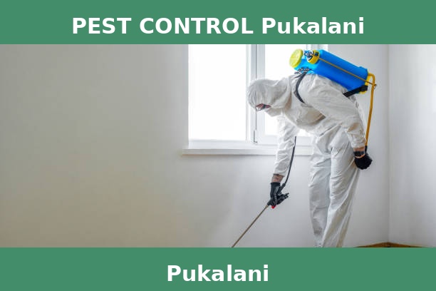 PEST CONTROL Pukalani